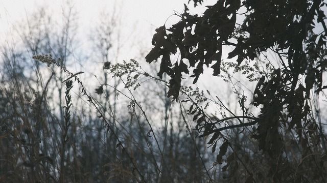 Tìm gì để đọc khi gió mùa về sớm: 9 cuốn sách cho những trái tim đang rối bời