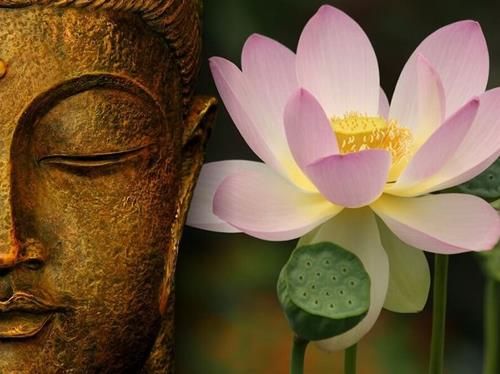 Những điều ác không nên thực hiện
