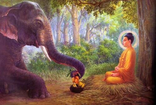 Tạo ra sự sống