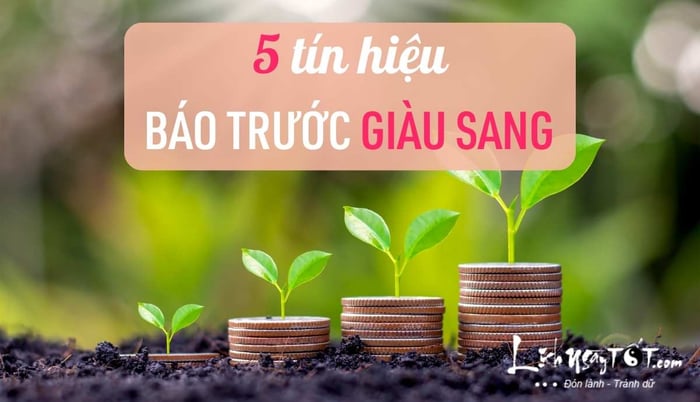 Tín hiệu báo trước của giàu sang, thịnh vượng