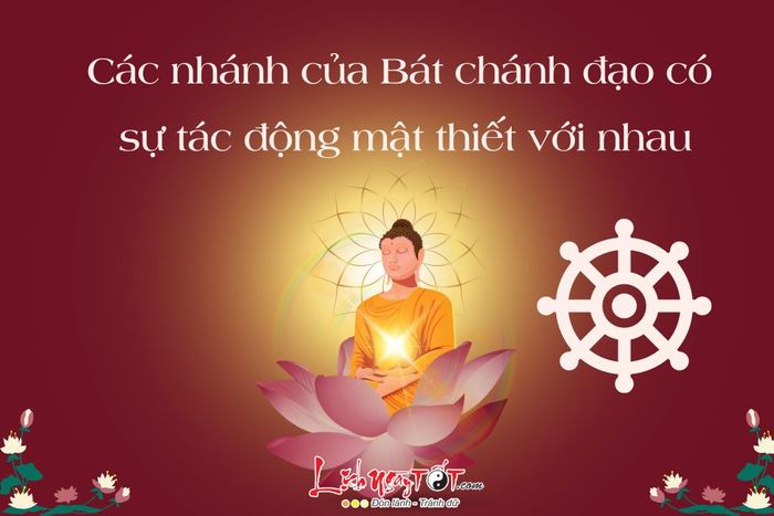 Áp dụng tri thức Phật pháp vào cuộc sống hàng ngày