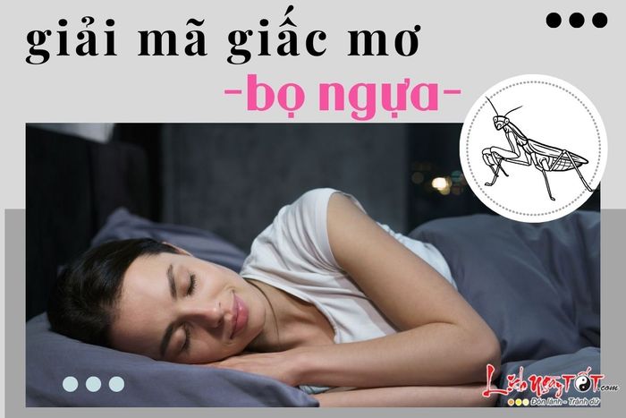 Giải mã giấc mơ về bọ ngựa.