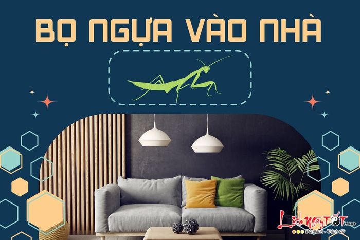 Bọ ngựa đến nhà - điềm báo gì?