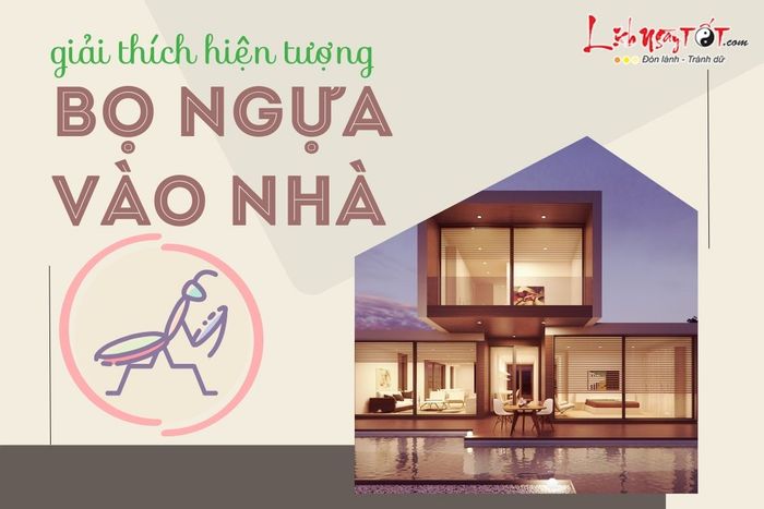 Giải thích hiện tượng bọ ngựa vào nhà.