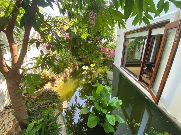 Nhạc sĩ Dương Thụ, 81 tuổi, làm việc 'đầy năng lượng', được đồn là một triệu phú ẩn danh? - 2