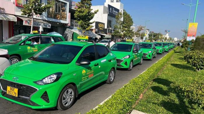 Liệu Taxi Mai Linh có hoạt động cả ngày lẫn đêm không?