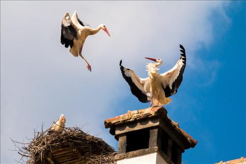 ngôi nhà có phong thủy tốt