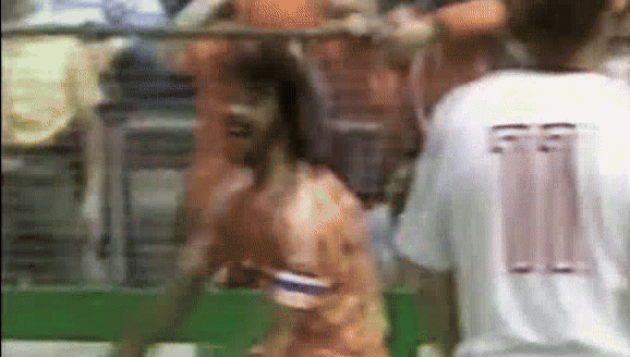 Bàn thắng phi thường của Van Basten trong trận chung kết