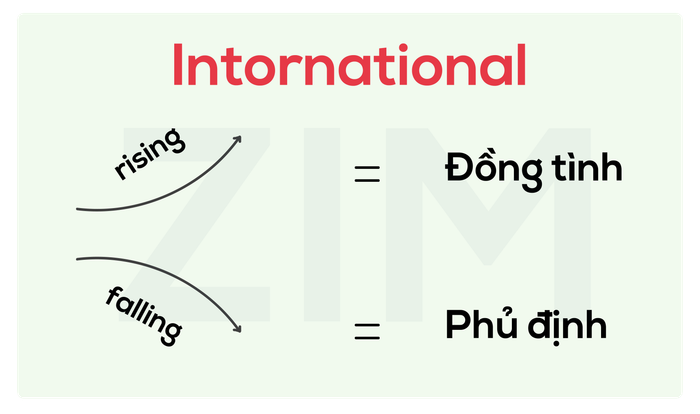 dau-hieu-nhan-dien-quan-diem-trong-ielts-listening-part-3-intonation