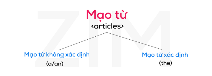 phân-loại-các-tu-han-dinh-02