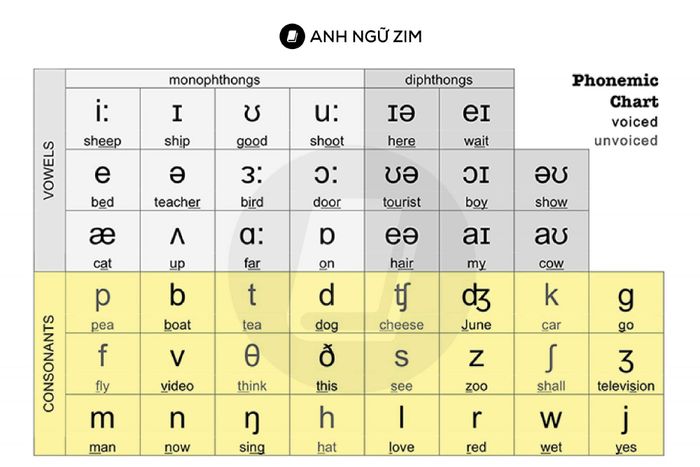 pronunciation-errors-english-ipa