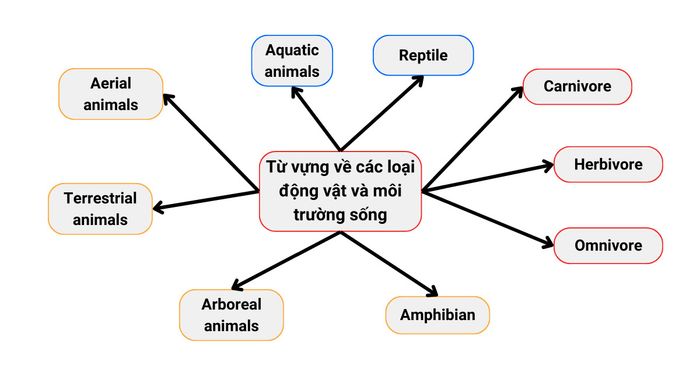 Từ vựng về các loại động vật và môi trường sống