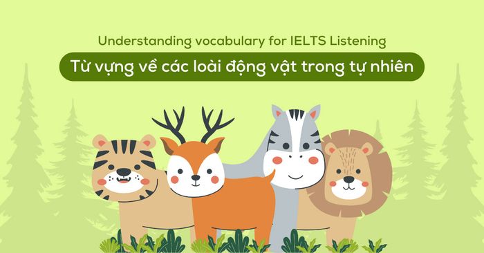 từ vựng ielts listening part 4 chủ đề động vật hoang dã