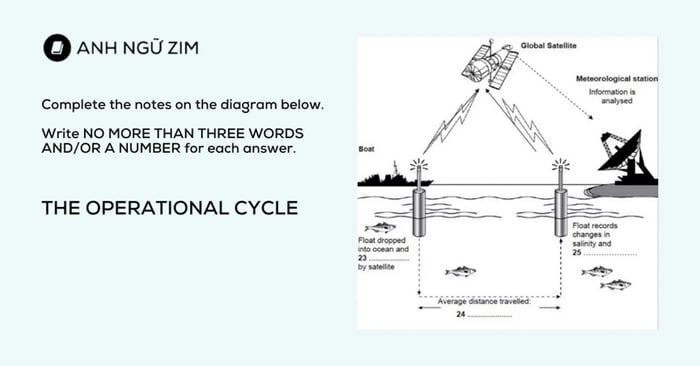 The Operational Cycle