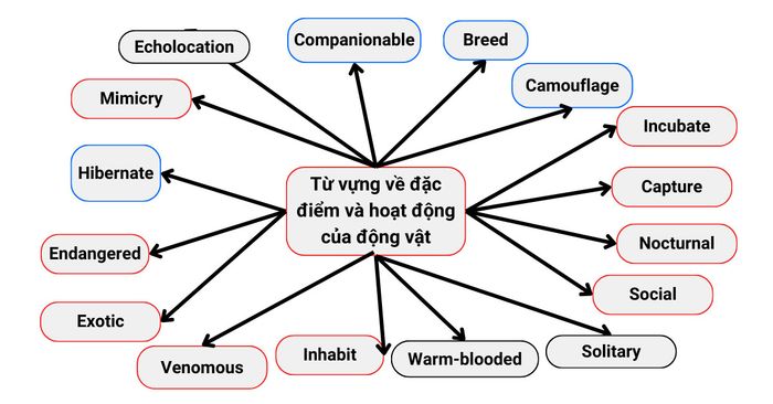 Từ vựng về đặc điểm và hành vi của các loài động vật