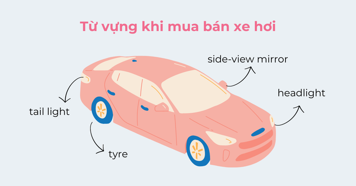 hình ảnh mô tả