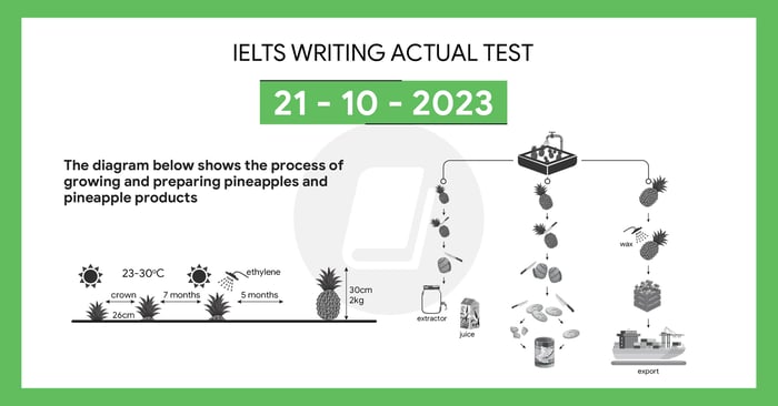 giải bài tập ielts writing task 1 và task 2 ngày 21102023