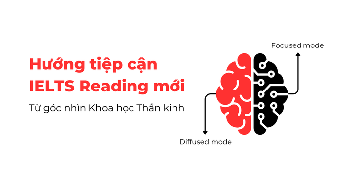 phương pháp tiếp cận mới cho IELTS Reading từ góc nhìn của Khoa học Thần kinh