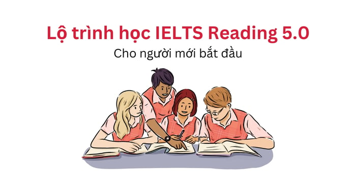 hướng dẫn chi tiết về lộ trình học ielts reading 50 dành cho người mới