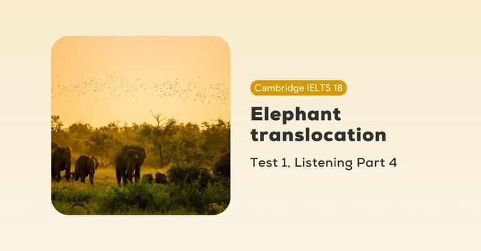 giai de cambridge ielts 18 test 1 listening part 4 elephant translocation