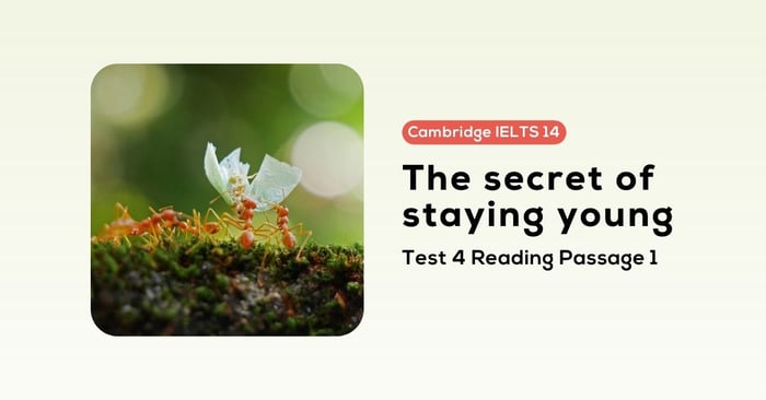 Solving the Cambridge IELTS 14 test 4 reading passage 1, the secret to perpetual youth