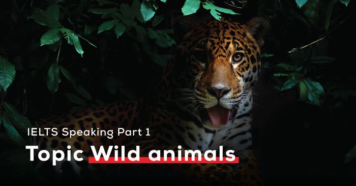 topic wildlife bai mau ielts speaking part 1 with audio vocabulary