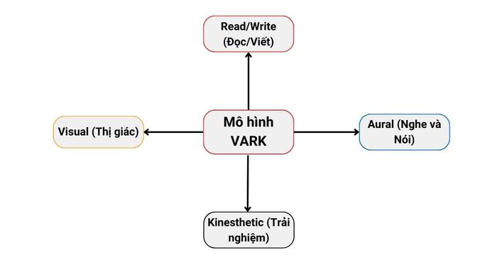 Utilizing the VARK model in IELTS learning