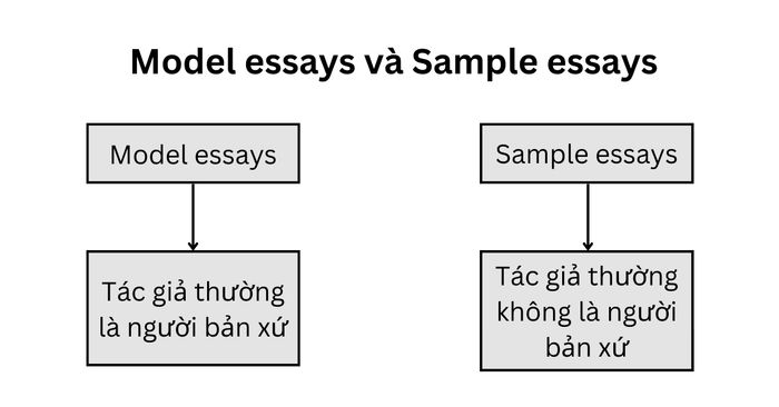 Model essays in IELTS Writing