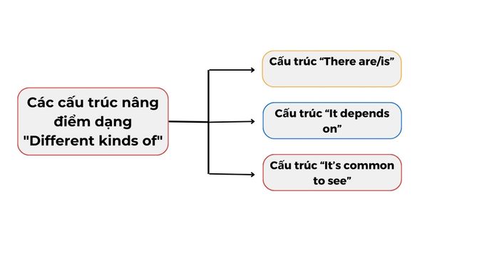 Cấu trúc tăng điểm trong Speaking Part 3 loại Different kinds of