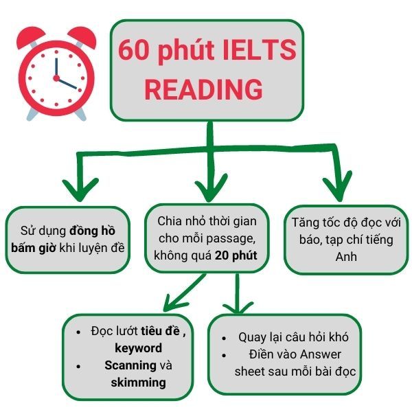 làm chủ thời gian thi ielts reading