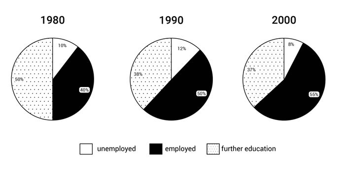 Dạng bài Pie Chart trong IELTS Writing Task 1