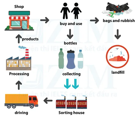 Applying common tenses in IELTS Writing process