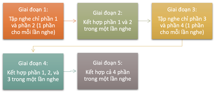 cach-duy-tri-tap-trung-hoc-tieng-anh-khi-da-nhiem-trong-cac-giai-doan