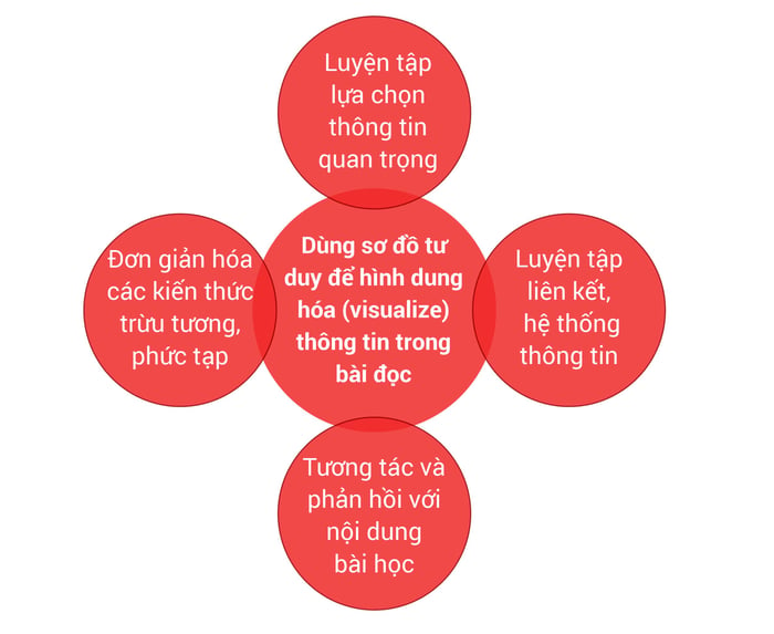 mind-map-vao-hoc-tieng-anh-nhu-the-nao-de-hieu-qua-phan-2-nang-cao-kha-nang-doc-hieu-01