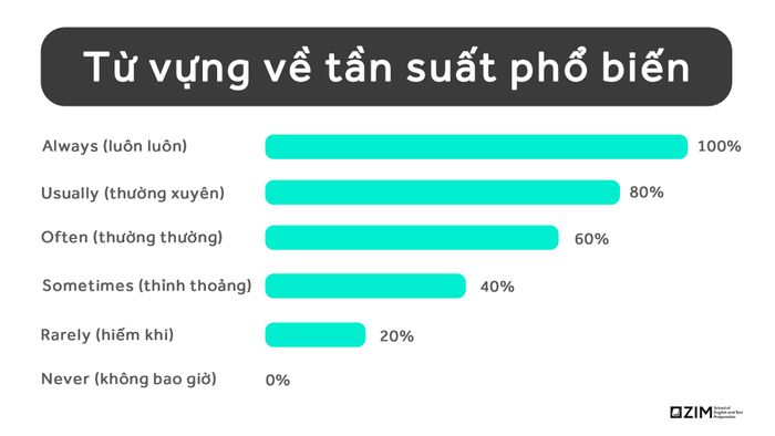 Từ vựng thông dụng về tần suất