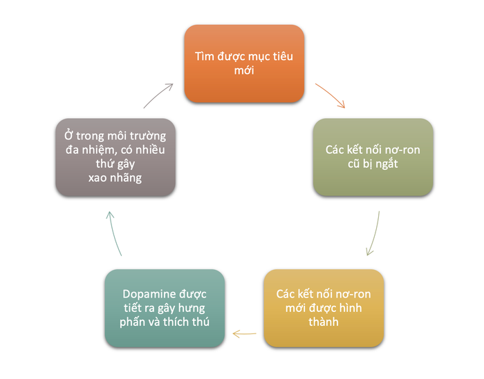 lam-the-nao-de-duy-tri-tap-trung-hoc-tieng-anh-do-thoi-quen-lam-viec-da-nhiem-multitasking-nguyen-nhan