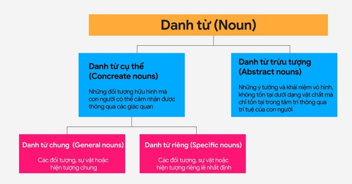 General Nouns and Specific Nouns