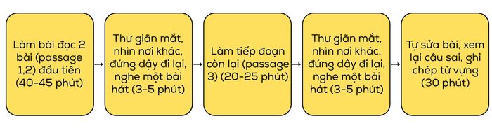 5-cach-toi-uu-su-tap-trung-hoc-tieng-anh-va-luyen-thi-ielts-02