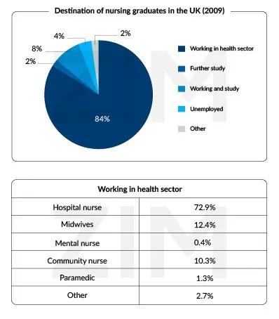 ap-dung-cac-thi-thong-dung-trong-ielts-writing-pie-chart