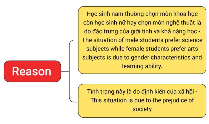 ý tưởng cho đề tài IELTS Writing Task 2 về Giới tính-04