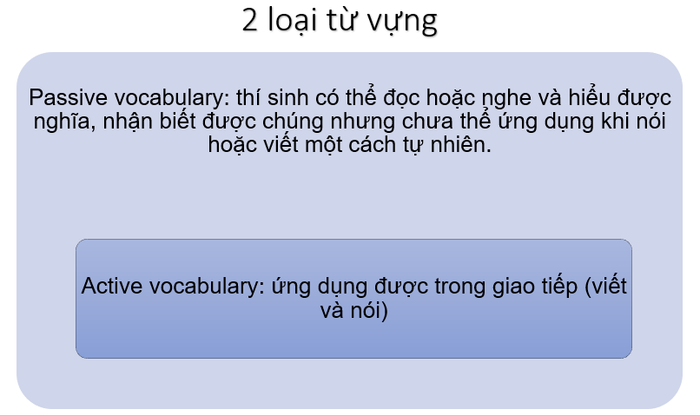 metacognition-ap-dung-tu-vung