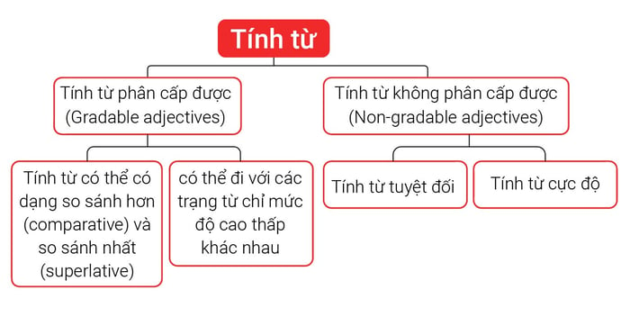 Ứng dụng tính từ có thể phân loại và không thể phân loại (gradable và non-gradable adjectives) trong các câu trả lời