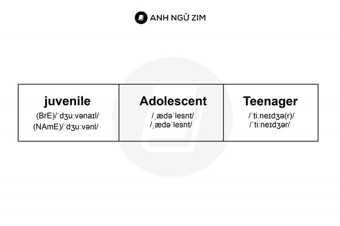 synonymous-words-in-ielts-writing-children-comparison