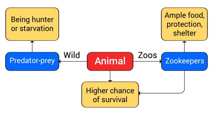 concept-for-ielts-writing-task-2-topic-zoological-parks-1