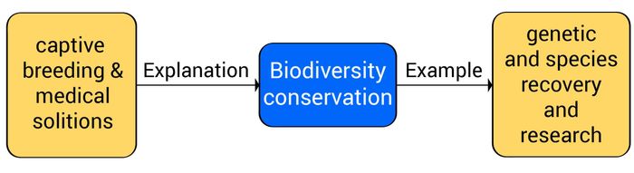 concept-for-ielts-writing-task-2-topic-zoological-parks-2