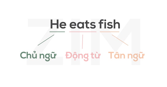 hoc-tieng-latin-he-eats-fish