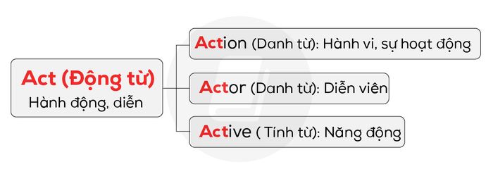 hau-to-pho-bien-theo-loai-tu-trong-ielts-reading-act