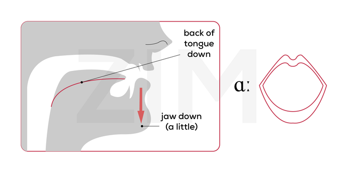 pronunciation and transcription A