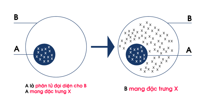 7-cach-lap-luan-trong-ielts-writing-task-2-generalisation