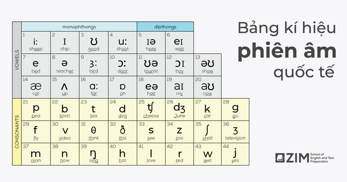 pronunciation and transcription in IPA